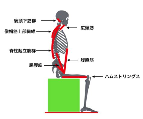 背座位